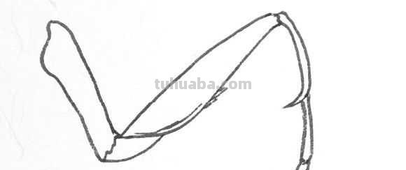 工笔画草虫不会画？那是你没有学会画这些基本画法，简单易学！