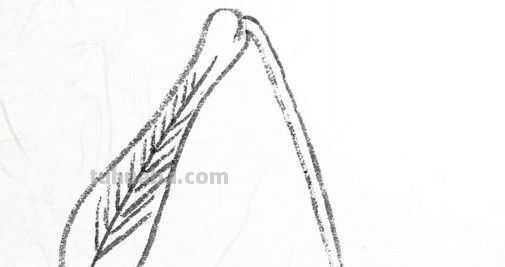 工笔画草虫不会画？那是你没有学会画这些基本画法，简单易学！