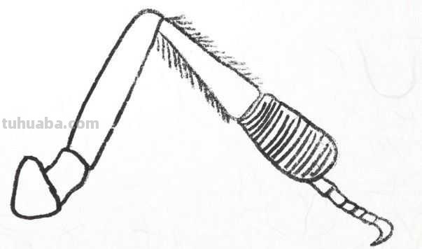 工笔画草虫不会画？那是你没有学会画这些基本画法，简单易学！