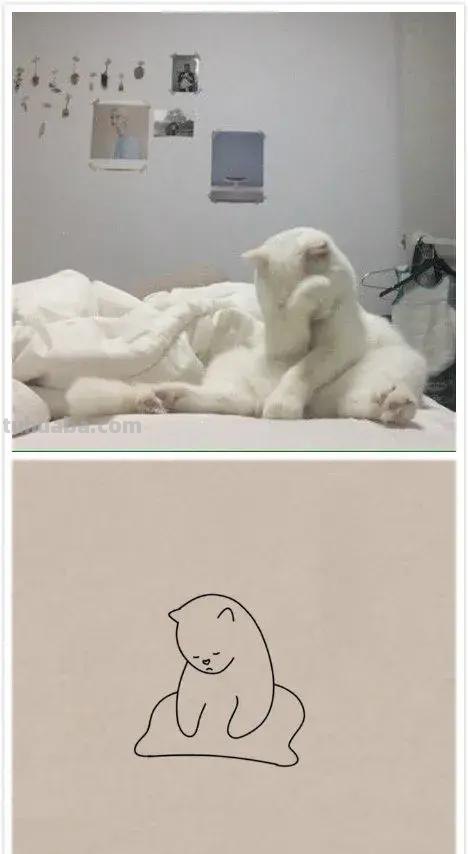 灵魂画手的动物简笔画系列，沙雕又可爱
