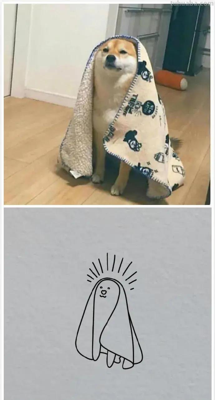 灵魂画手的动物简笔画系列，沙雕又可爱