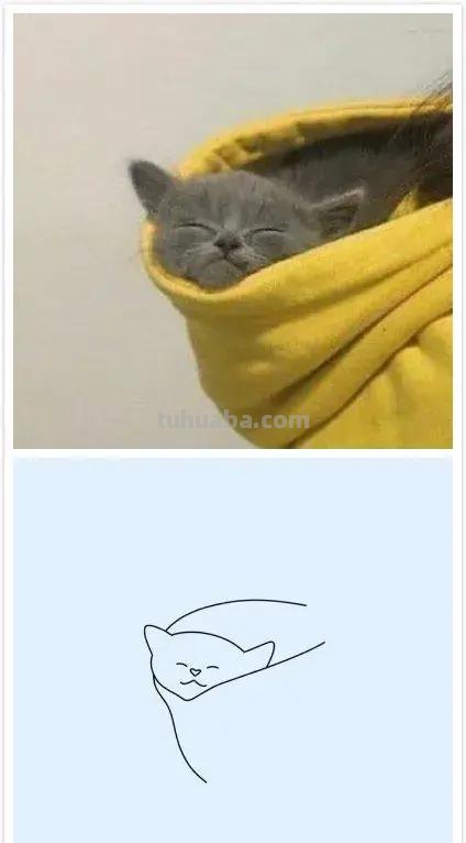 灵魂画手的动物简笔画系列，沙雕又可爱