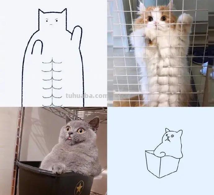 灵魂画手的动物简笔画系列，沙雕又可爱
