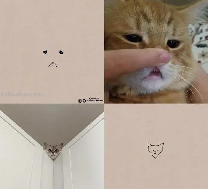 灵魂画手的动物简笔画系列，沙雕又可爱