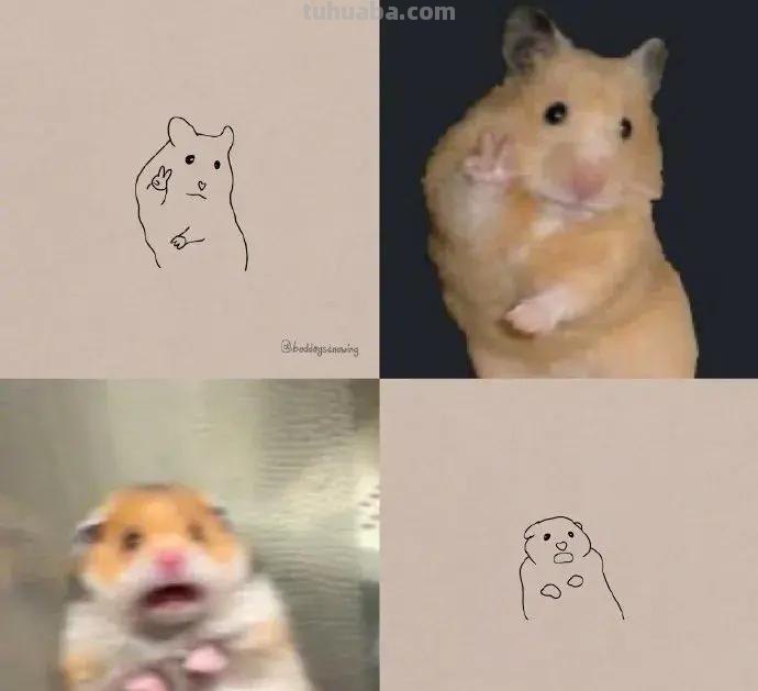 灵魂画手的动物简笔画系列，沙雕又可爱