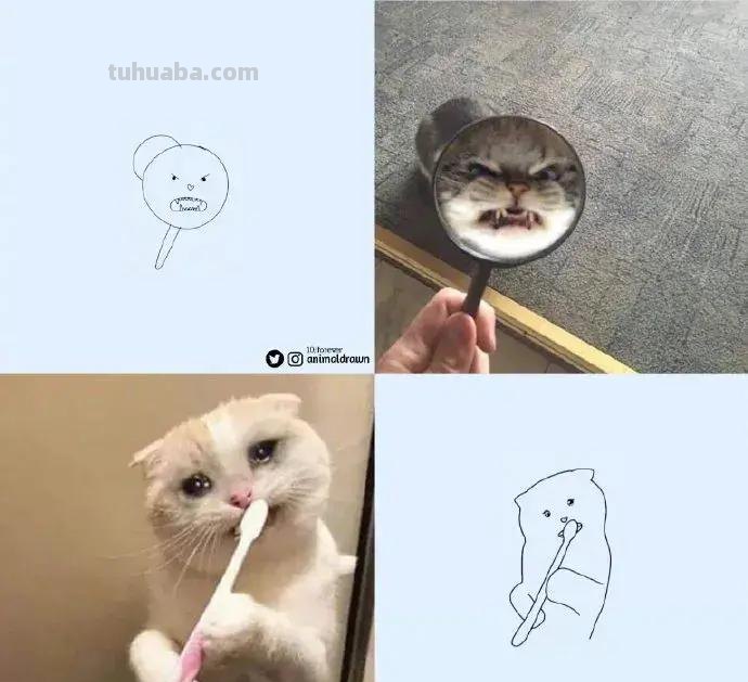 灵魂画手的动物简笔画系列，沙雕又可爱