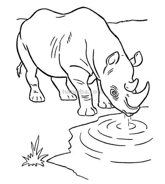 动物类高清简笔画教程，打印出来让孩子涂色画画