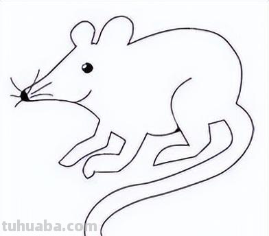 25 十二生肖动物简笔画