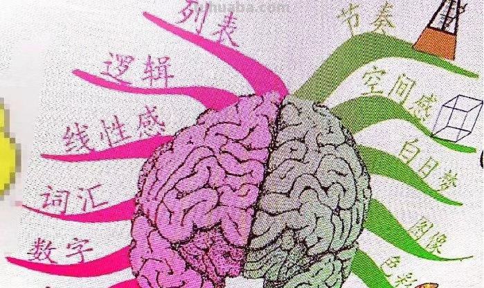 开学第一天，聊一聊思维导图这款学习神器