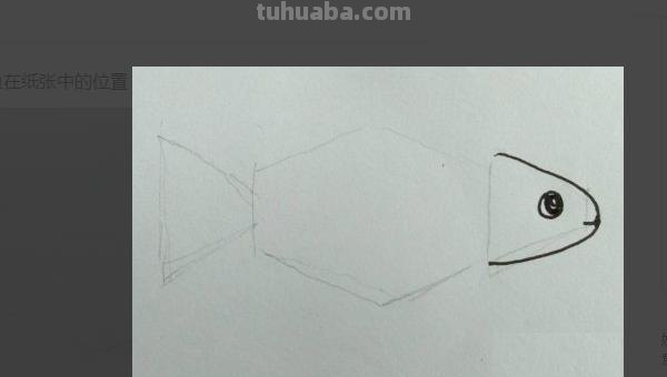 鲤鱼怎么画简笔画图片(鲤鱼怎么画简笔画图片大全) 鲤鱼怎么画简笔画图片(鲤鱼怎么画简笔画图片大全)