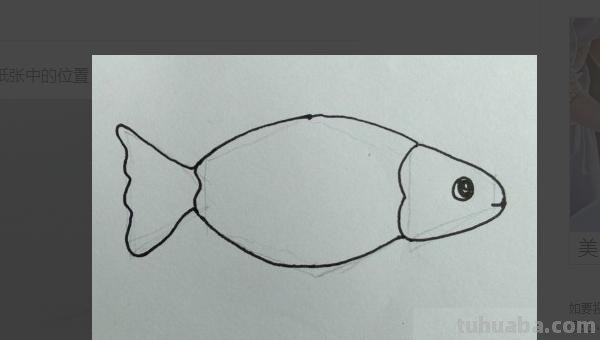 鲤鱼怎么画简笔画图片(鲤鱼怎么画简笔画图片大全) 鲤鱼怎么画简笔画图片(鲤鱼怎么画简笔画图片大全)
