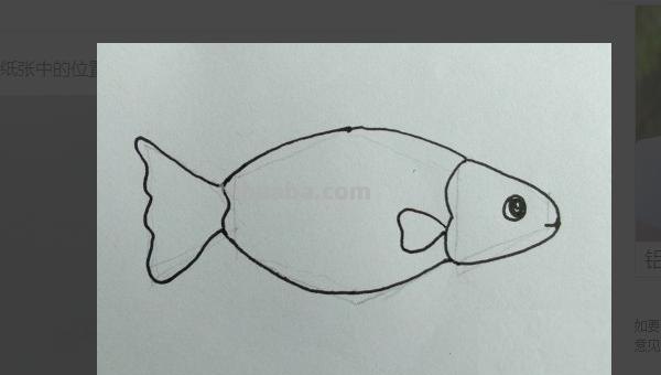 鲤鱼怎么画简笔画图片(鲤鱼怎么画简笔画图片大全) 鲤鱼怎么画简笔画图片(鲤鱼怎么画简笔画图片大全)