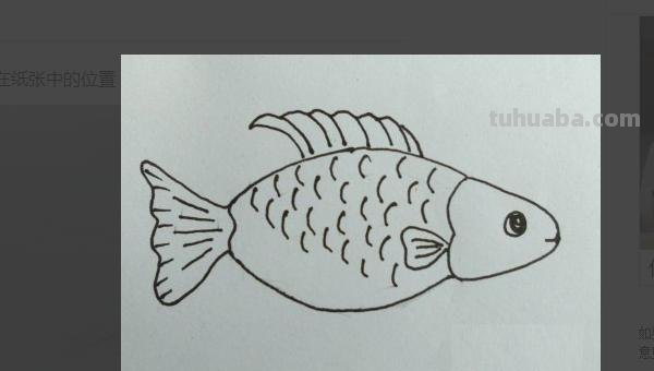 鲤鱼怎么画简笔画图片(鲤鱼怎么画简笔画图片大全) 鲤鱼怎么画简笔画图片(鲤鱼怎么画简笔画图片大全)