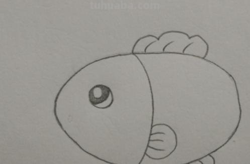鲤鱼怎么画简笔画图片(鲤鱼怎么画简笔画图片大全) 鲤鱼怎么画简笔画图片(鲤鱼怎么画简笔画图片大全)