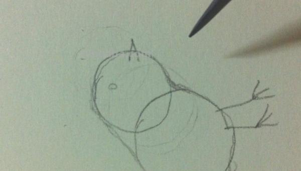 怎么用彩铅画小鸟(怎么用彩铅画小鸟简单生动) 怎么用彩铅画小鸟(怎么用彩铅画小鸟简单生动)