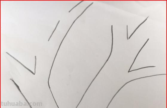 树枝干速写(树干树枝速写) 树枝干速写(树干树枝速写)