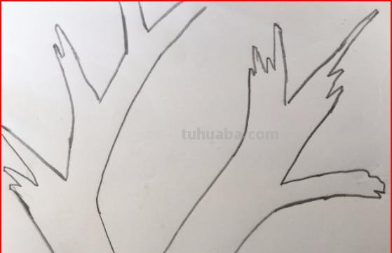 树枝干速写(树干树枝速写) 树枝干速写(树干树枝速写)