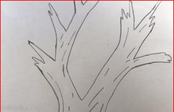 树枝干速写(树干树枝速写) 树枝干速写(树干树枝速写)