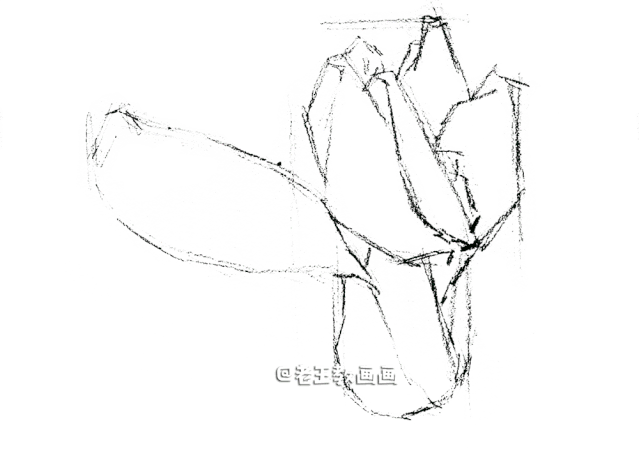 自学画画不用愁,彩铅小教程解您忧 自学画画不用愁,彩铅小教程解您忧