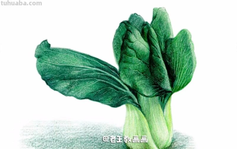 自学画画不用愁,彩铅小教程解您忧 自学画画不用愁,彩铅小教程解您忧