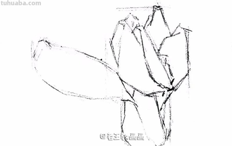 自学画画不用愁,彩铅小教程解您忧 自学画画不用愁,彩铅小教程解您忧