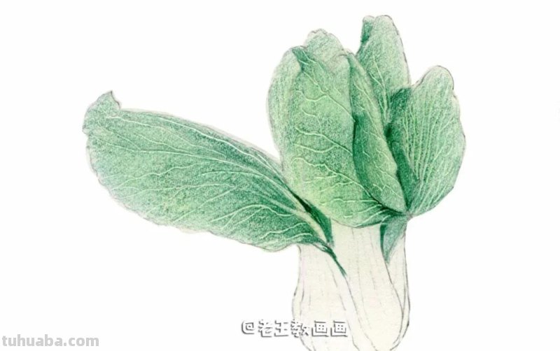 自学画画不用愁,彩铅小教程解您忧 自学画画不用愁,彩铅小教程解您忧