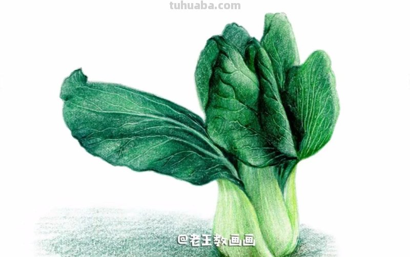 自学画画不用愁,彩铅小教程解您忧 自学画画不用愁,彩铅小教程解您忧