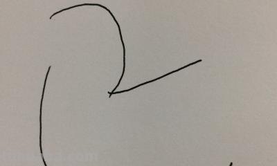 鸡怎么画简笔画上色(鸡怎么画简笔画上色好看) 鸡怎么画简笔画上色(鸡怎么画简笔画上色好看)