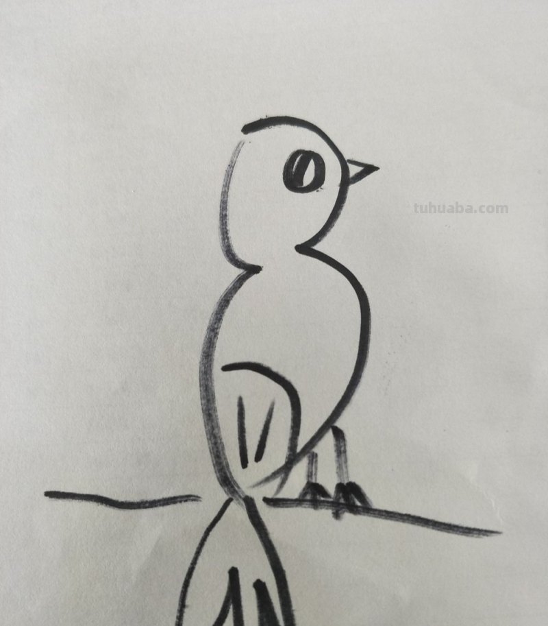 彩铅画怎么画好鸟儿(彩铅画怎么画好鸟儿图片) 彩铅画怎么画好鸟儿(彩铅画怎么画好鸟儿图片)