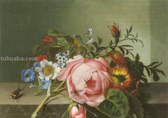 古典静物花卉油画｜荷兰画家Rachel Ruysch作品