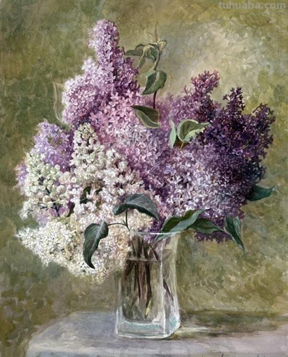 俄罗斯Lesokhina Lubov 花卉静物水彩油画欣赏