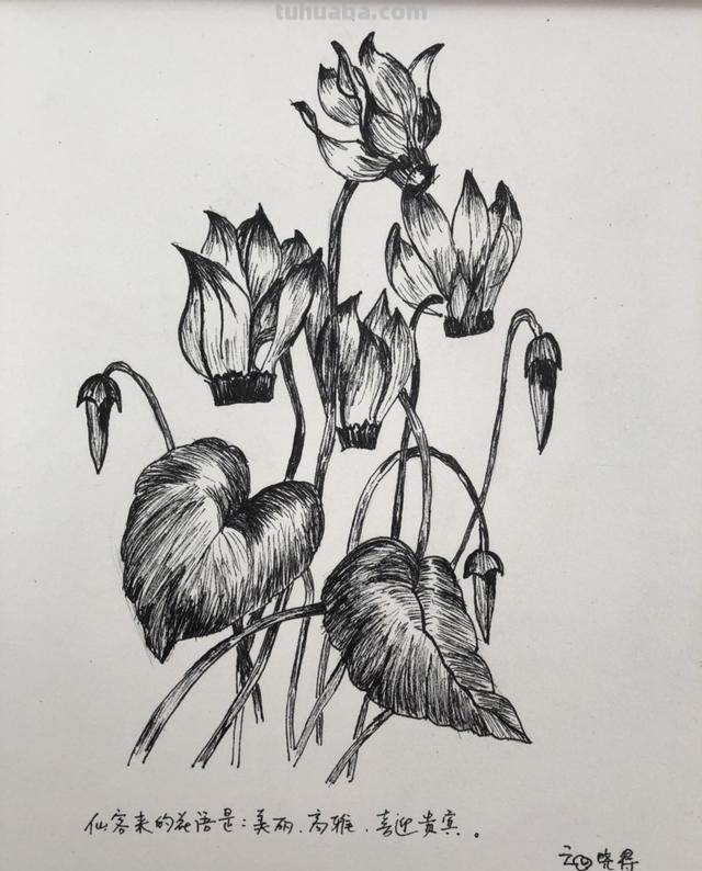 黄鼠狼怎么画简笔画(黄鼠狼怎么画简笔画图片) 黄鼠狼怎么画简笔画(黄鼠狼怎么画简笔画图片)