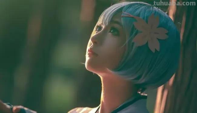 COS圈究竟有多乱？你了解吗？水真深啊