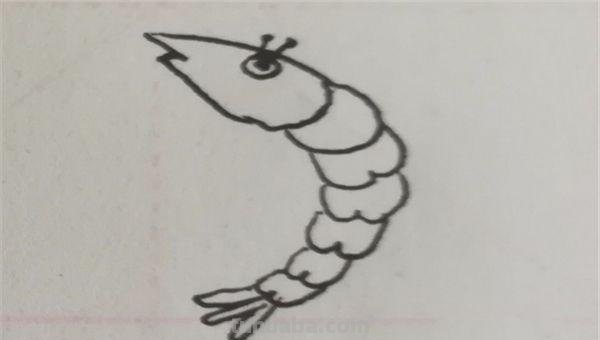 虾怎么画简笔画图画(虾怎么画简笔画图画大全) 虾怎么画简笔画图画(虾怎么画简笔画图画大全)