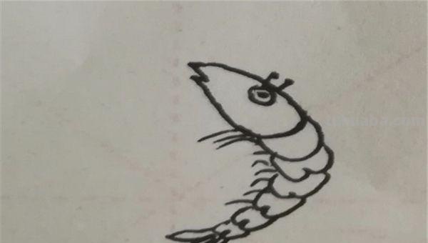 虾怎么画简笔画图画(虾怎么画简笔画图画大全) 虾怎么画简笔画图画(虾怎么画简笔画图画大全)