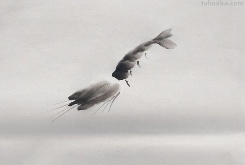 虾怎么画简笔画图画(虾怎么画简笔画图画大全) 虾怎么画简笔画图画(虾怎么画简笔画图画大全)