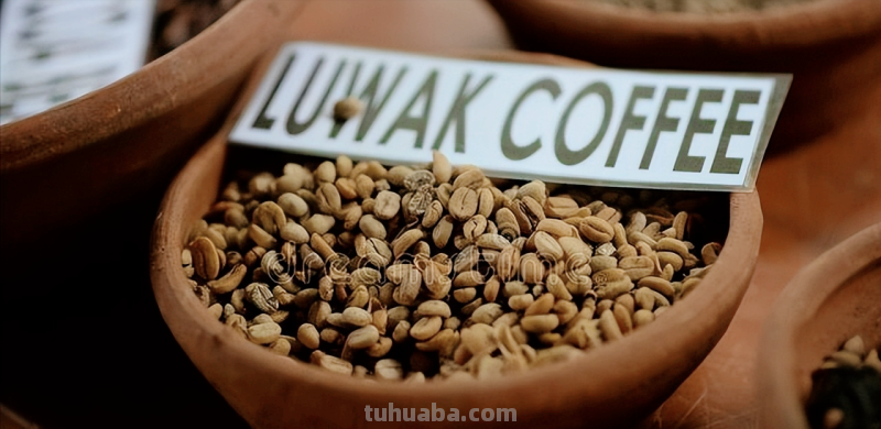 在家烘焙咖啡豆，DIY各种口味，调制咖啡的乐趣你根本想不到！