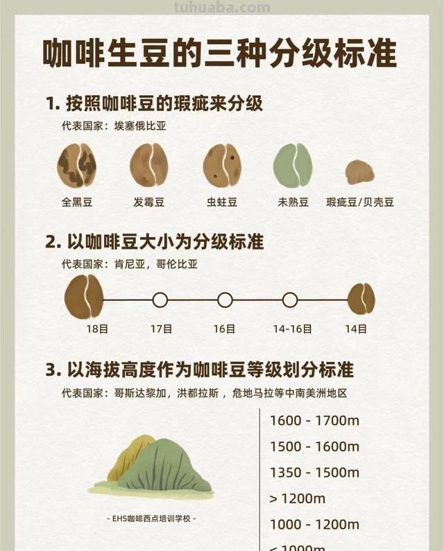 在家烘焙咖啡豆，DIY各种口味，调制咖啡的乐趣你根本想不到！