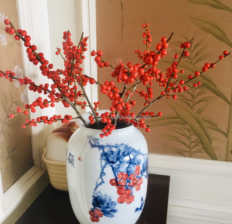 家里养5种“旺宅花”，开花就有好兆头，大气漂亮贵气满满