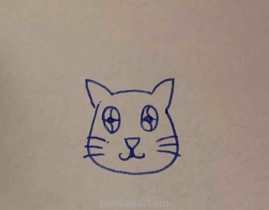 怎么画猫的简笔画漂亮(怎么画猫的简笔画漂亮又好看) 怎么画猫的简笔画漂亮(怎么画猫的简笔画漂亮又好看)