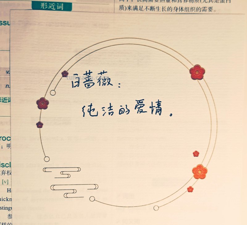 各种花的寓意‖你最喜欢什么花的花语？各种花的花语