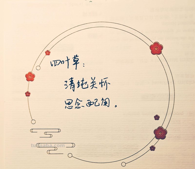 各种花的寓意‖你最喜欢什么花的花语？各种花的花语