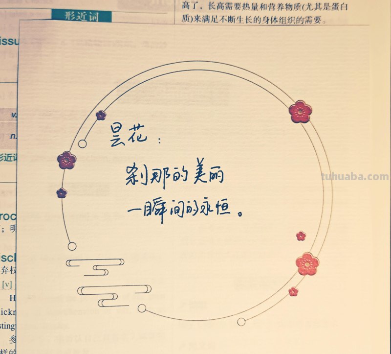 各种花的寓意‖你最喜欢什么花的花语？各种花的花语