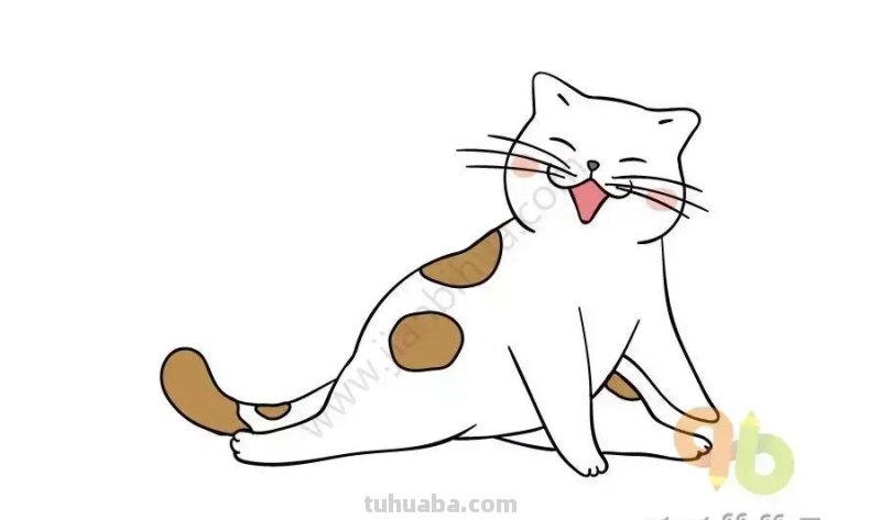 零基础学画迅速画出20种可爱的卡通小猫，简直萌翻了！