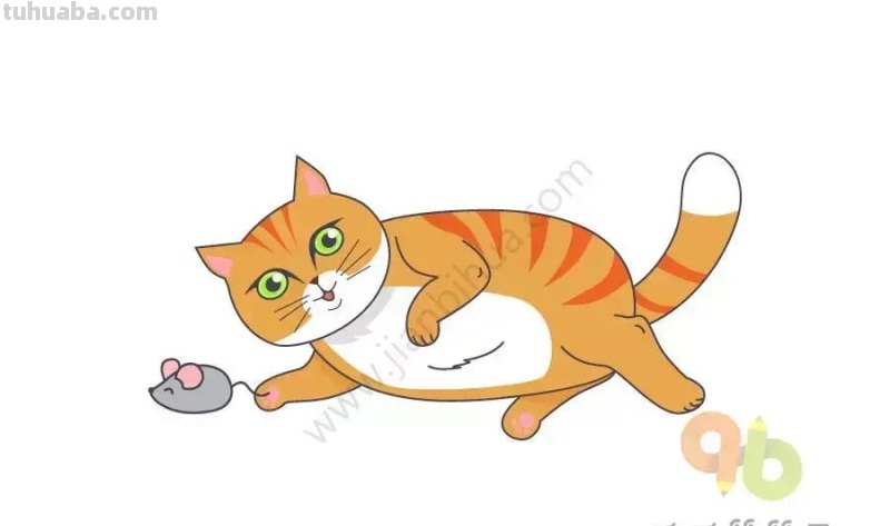 零基础学画迅速画出20种可爱的卡通小猫，简直萌翻了！