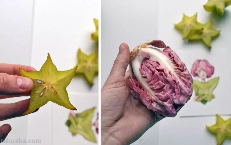 各种水果的10种简笔画法，超级实用的素材！（建议收藏）