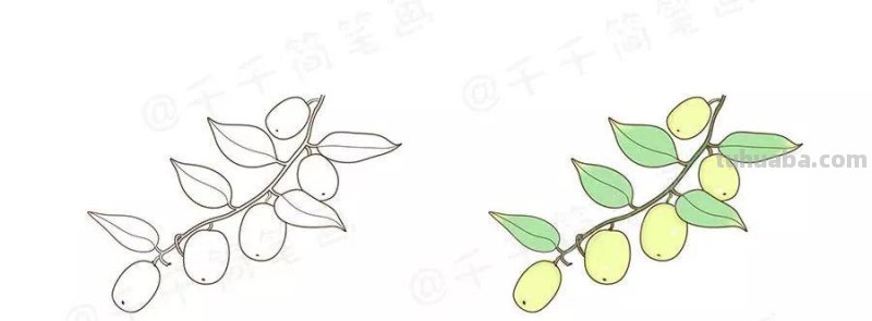 小小画家养成记之水果简笔画法
