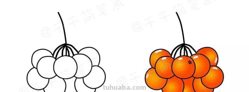 小小画家养成记之水果简笔画法