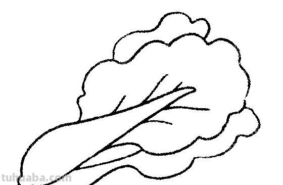 一组超级简单的蔬菜简笔画~线条简单易画，动手就能学会~