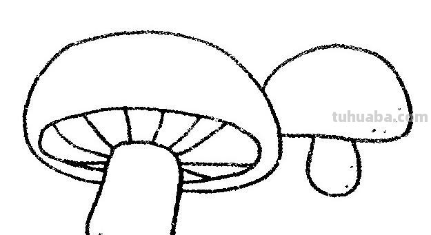一组超级简单的蔬菜简笔画~线条简单易画，动手就能学会~